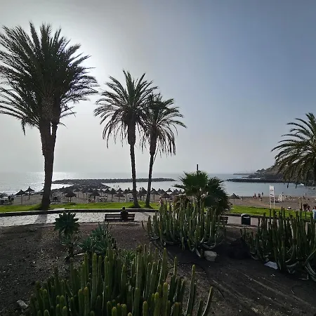 Tenerife Vibes - Ponderosa 204 아데제